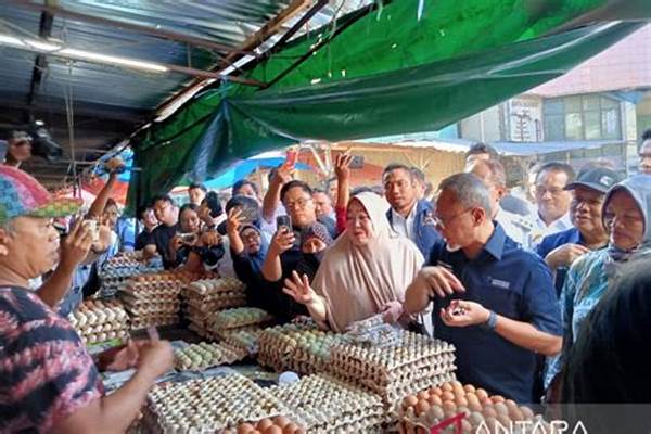 Menteri Perdagangan Sidak Harga Sembako Di Pasar Bengkulu