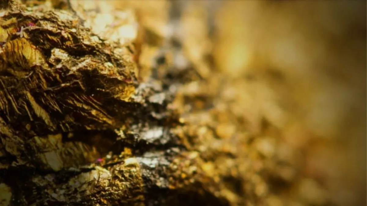 Pro Kontra Tambang Emas Seluma Bengkulu: Warga Cemas, Alam Jadi Taruhan