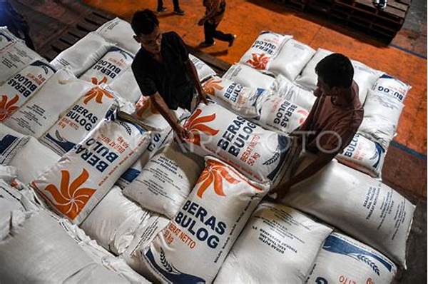 Pangan! Bulog Klaim Stok Beras Nasional Aman Jelang Nataru, Harga Di Bengkulu Tetap Stabil!