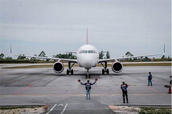Transportasi! Maskapai Baru Buka Rute Penerbangan Langsung Bengkulu-singapura, Akses Internasional!